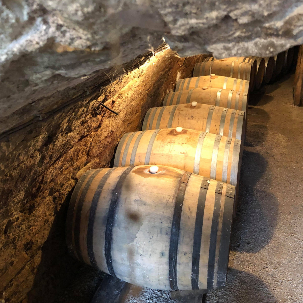 BIB Wine - TR Wines Cellar