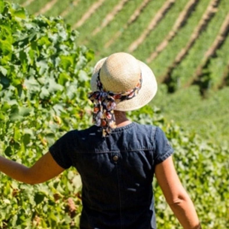 BIB Wine - La Marina &#39;Cuvée Oceane&#39; winemaker, Elisabeth Prataviera in the vineyard